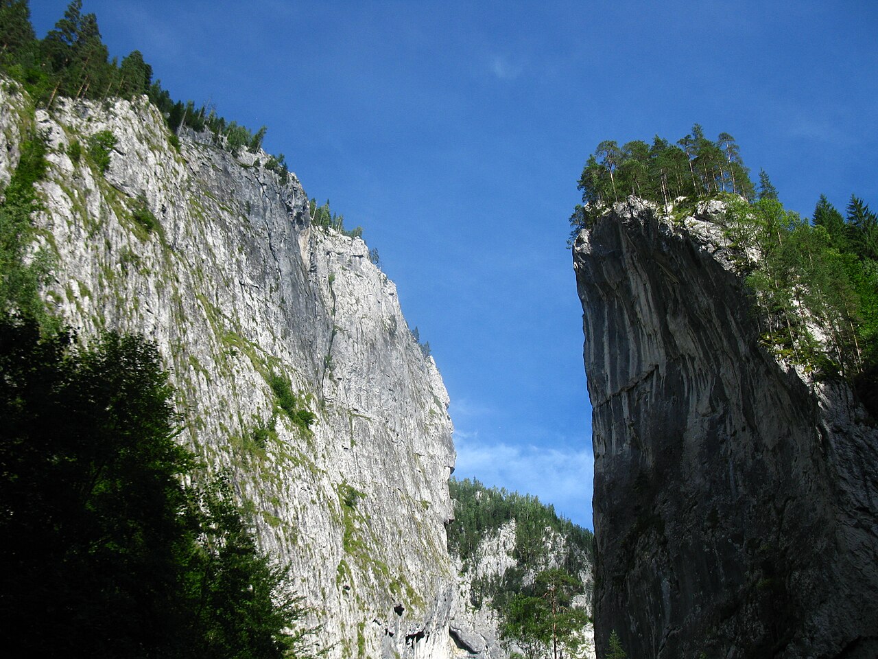 Pereți de calcar în Cheile Bicazului