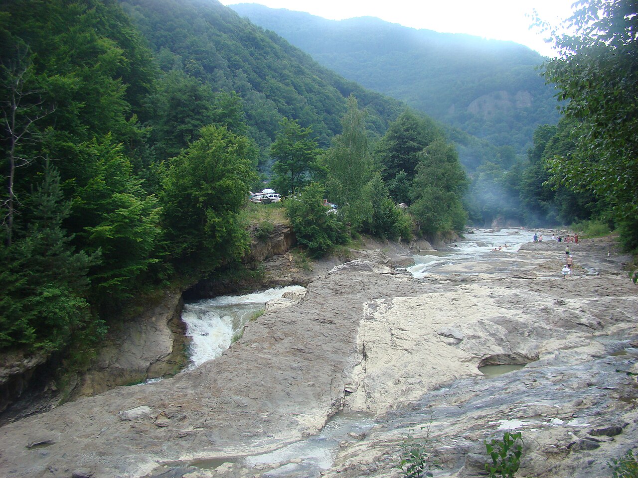 Valea Putnei și pădurea din jur