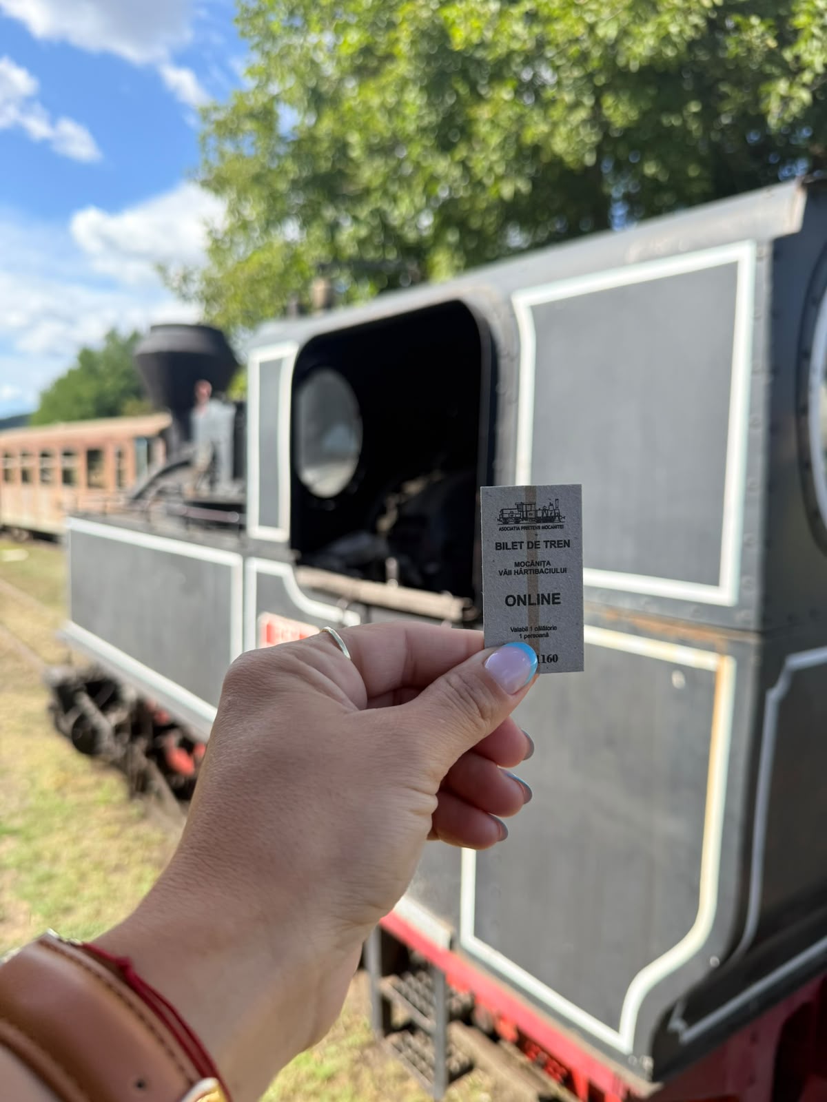 Biletul de călătorie și locomotiva cu abur. Tipul de tren disponibil se verifică la rezervare.